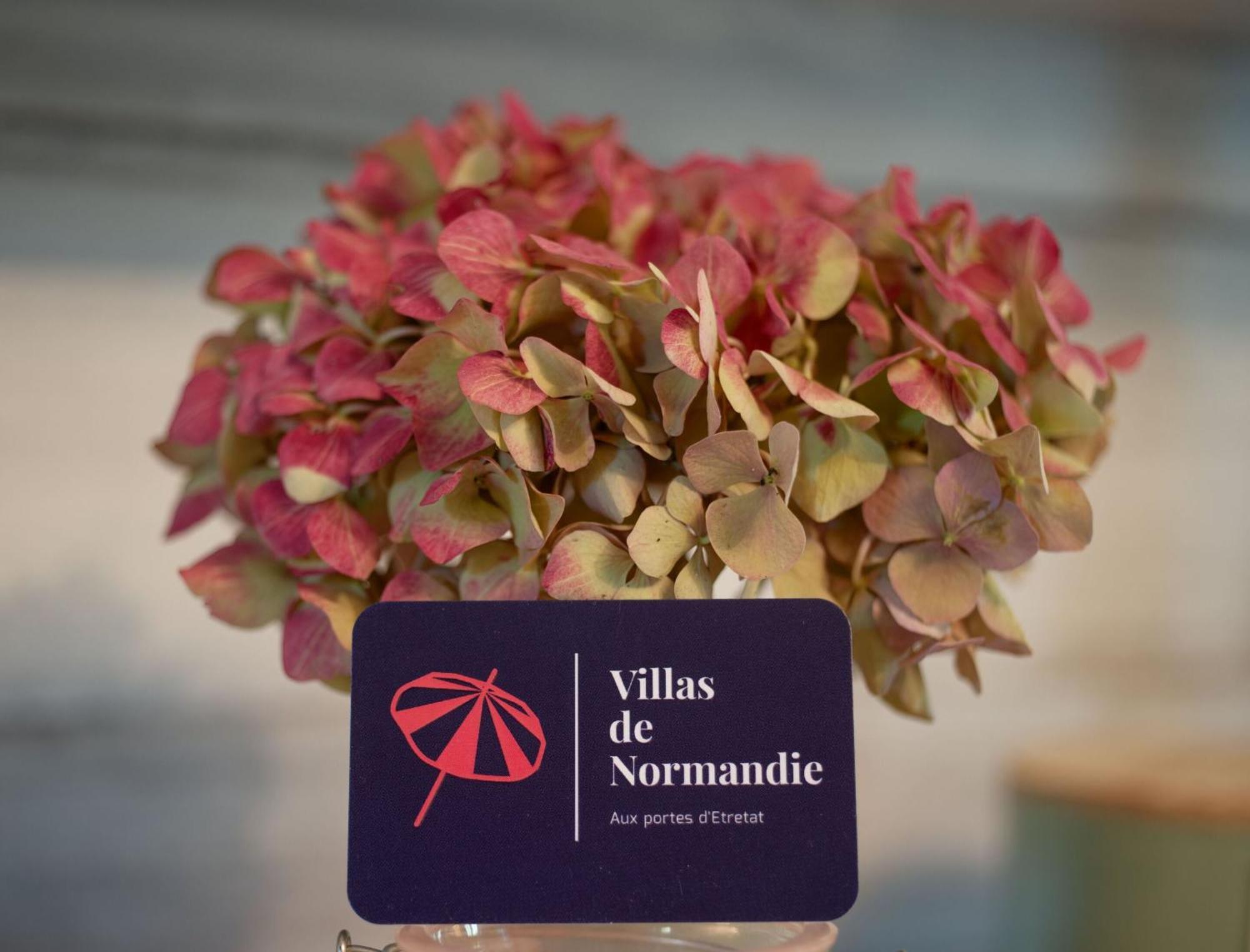 La Fleur De Sel D'Etretat Villa Bordeaux-Saint-Clair Buitenkant foto